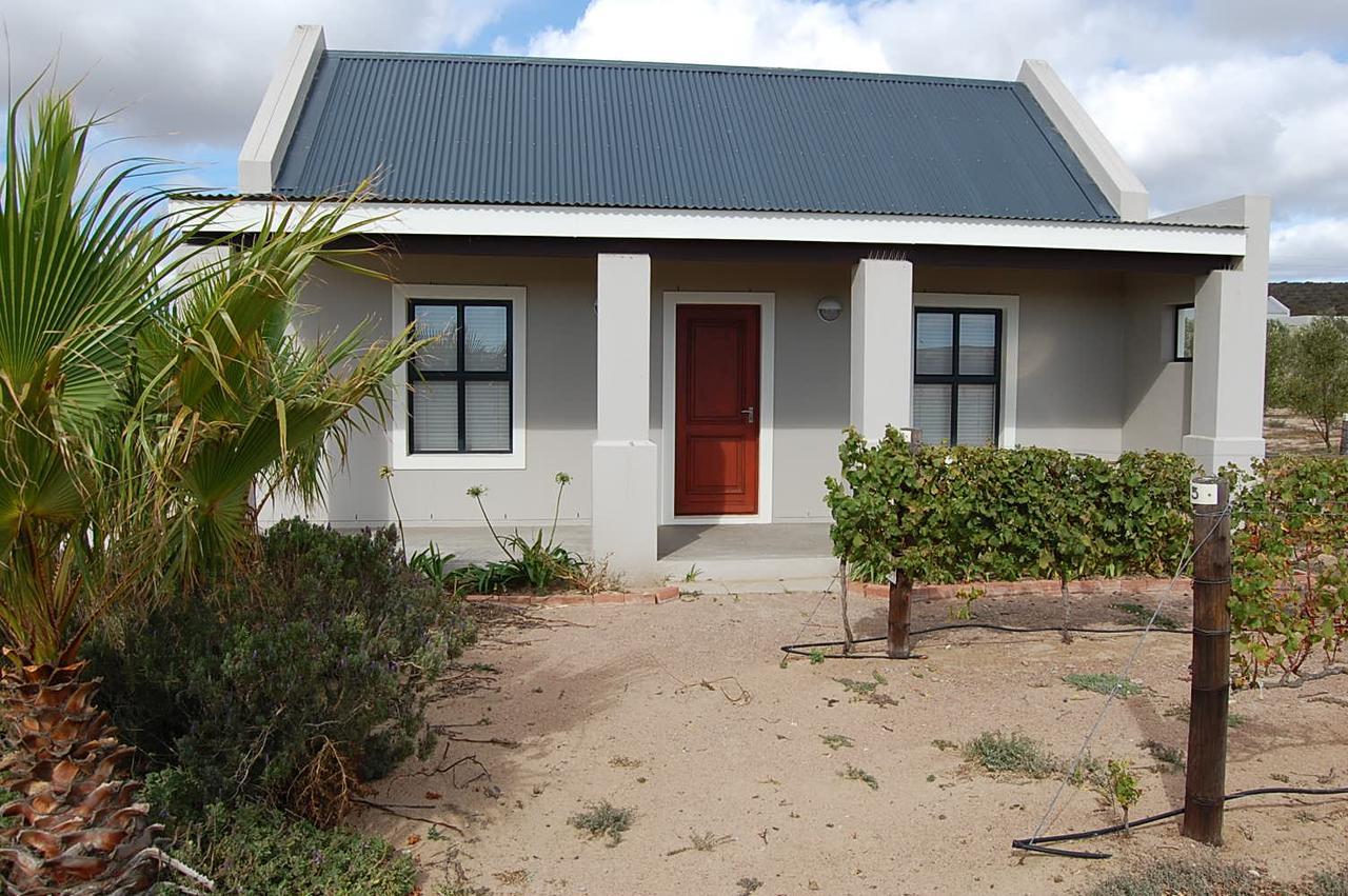 Longacre Olive & Vineyard Estate Pensionat Langebaan Exteriör bild