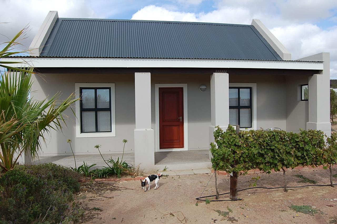 Longacre Olive & Vineyard Estate Pensionat Langebaan Exteriör bild