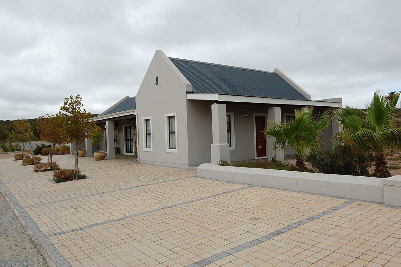 Longacre Olive & Vineyard Estate Pensionat Langebaan Exteriör bild