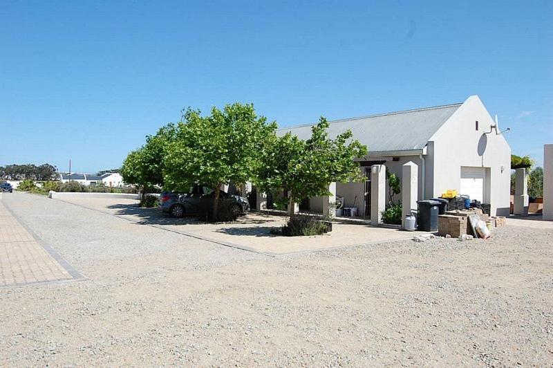 Longacre Olive & Vineyard Estate Pensionat Langebaan Exteriör bild
