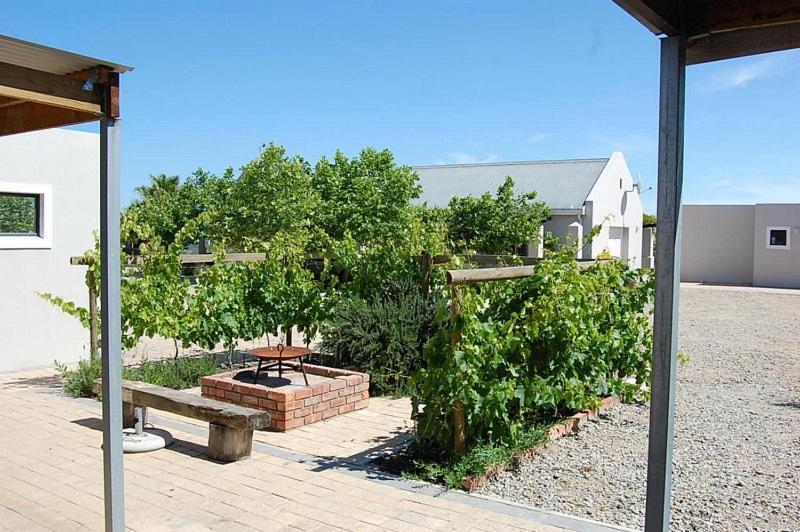 Longacre Olive & Vineyard Estate Pensionat Langebaan Exteriör bild