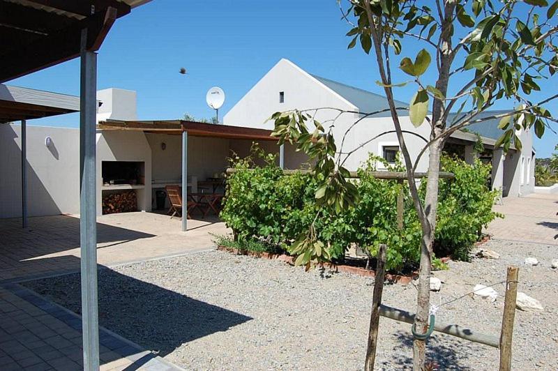Longacre Olive & Vineyard Estate Pensionat Langebaan Exteriör bild