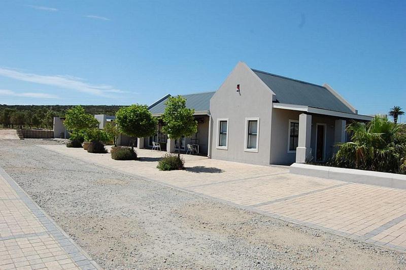 Longacre Olive & Vineyard Estate Pensionat Langebaan Exteriör bild